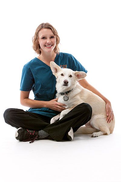 Emily Scheef
