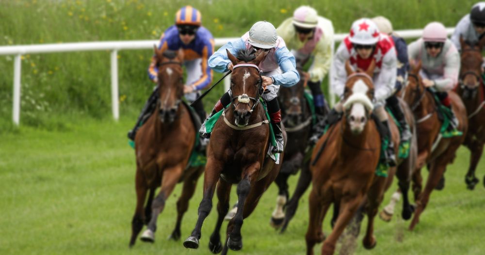 horse racing