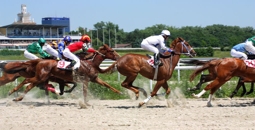Horse racing 