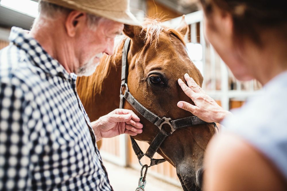 two people petting a horse