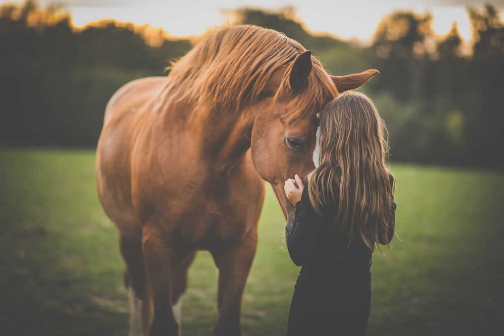 girl with her horse