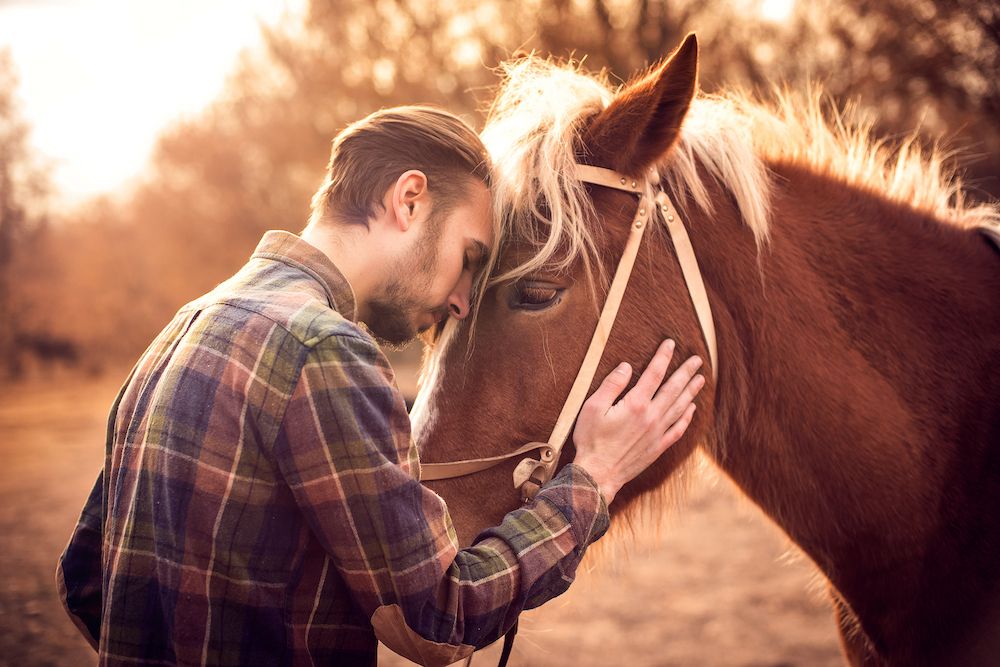 man and horse face-to-face