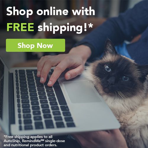 free shipping on pet food