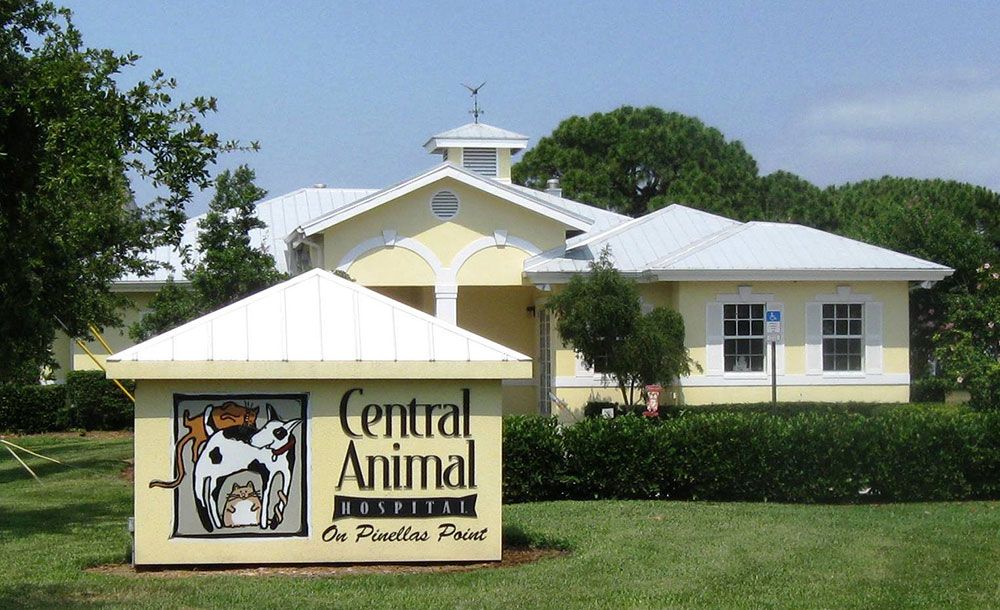 Central Animal Hospital Pinellas Pt. Location
