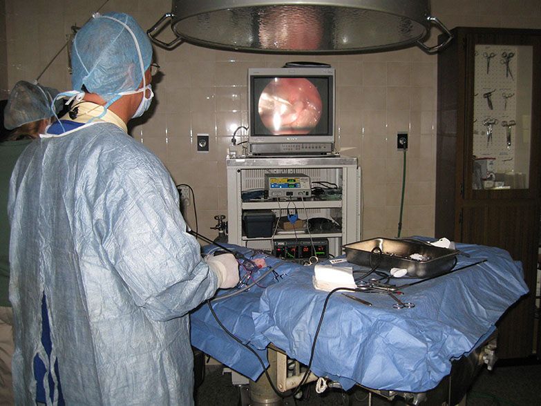 laparoscopic surgery for pets