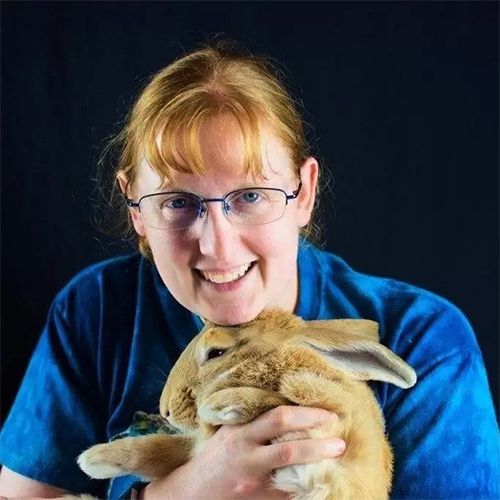 how much do vet techs make in colorado