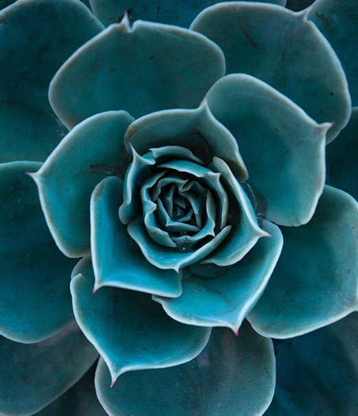 Psychiatry Services in Naperville, IL First Light Psychiatry