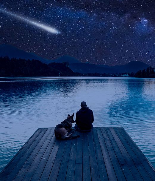 Psychiatry Services in Naperville, IL First Light Psychiatry