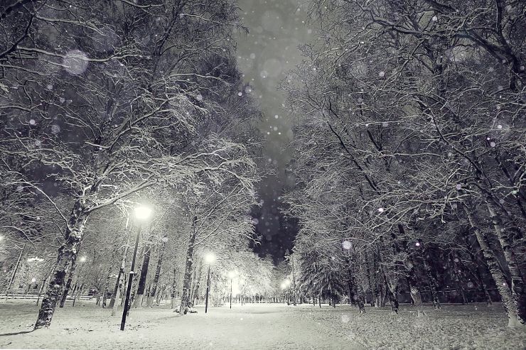Winter is Coming! How Well Can You See at Night?