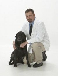 Dr. Troy J. Stafford , DVM