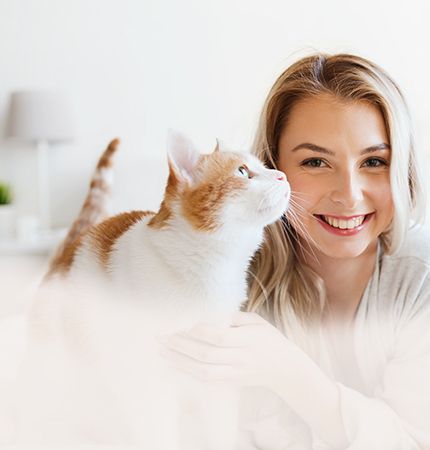 Testimonials at Deerfield Animal Hospital