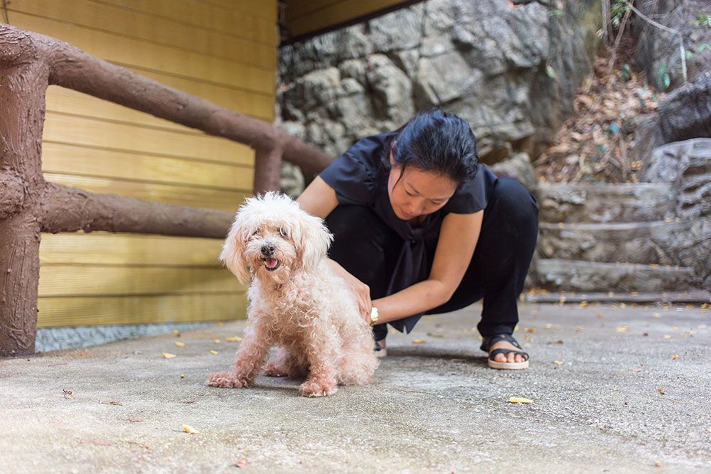 pet parent checking on a dog