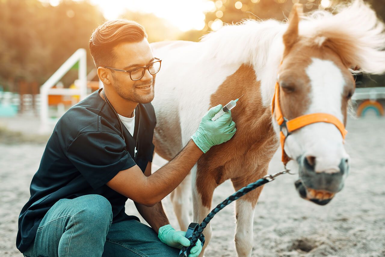 Veterinarian