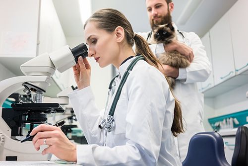 Laboratory