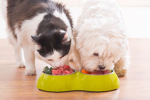 Nutritional Counseling