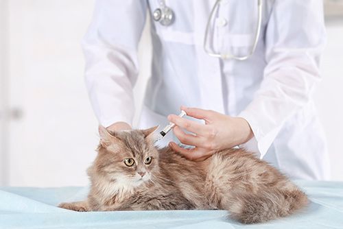 Vaccinations