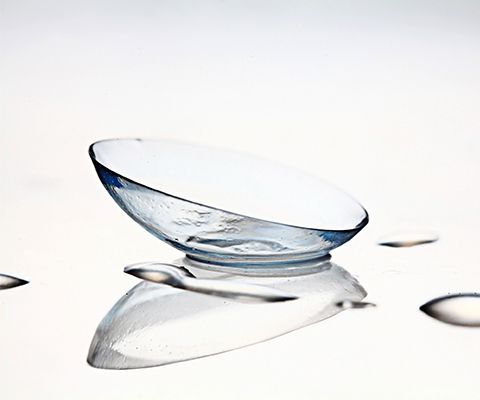 Contact Lenses