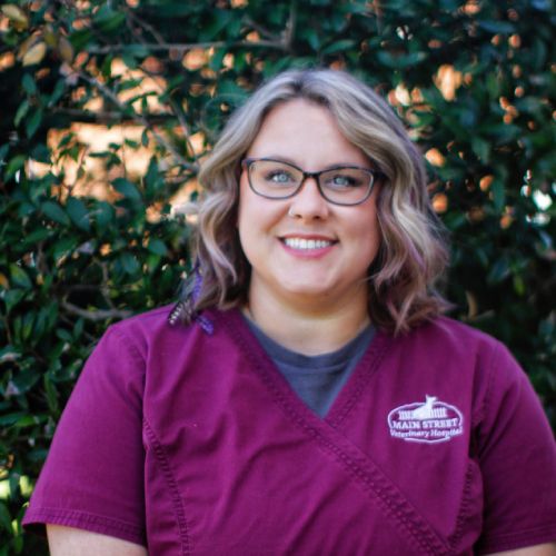 Kristen Nause Veterinary Technician & Groomer