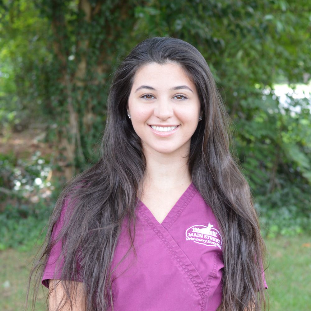 Dena Ianniello