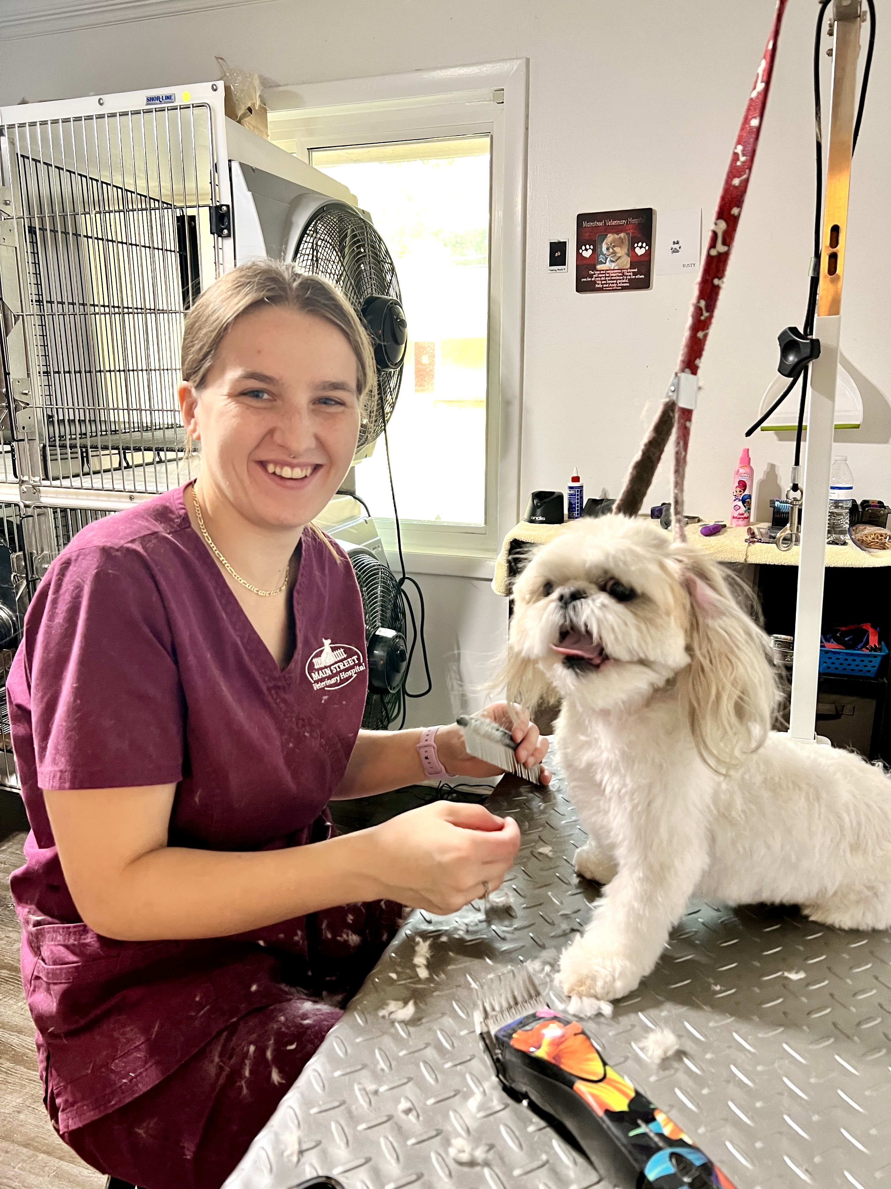 pet groomer