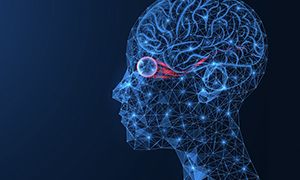 What is Neuro-Optometry?