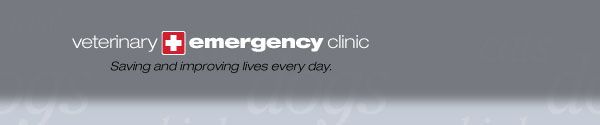 veterinary emergency clinic