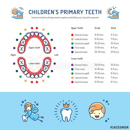 Fortworth Children's Dentistry team