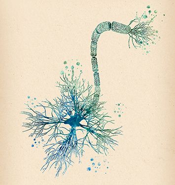 Scottsdale Neurology | Neurologist Scottsdale | Seth Kaufman