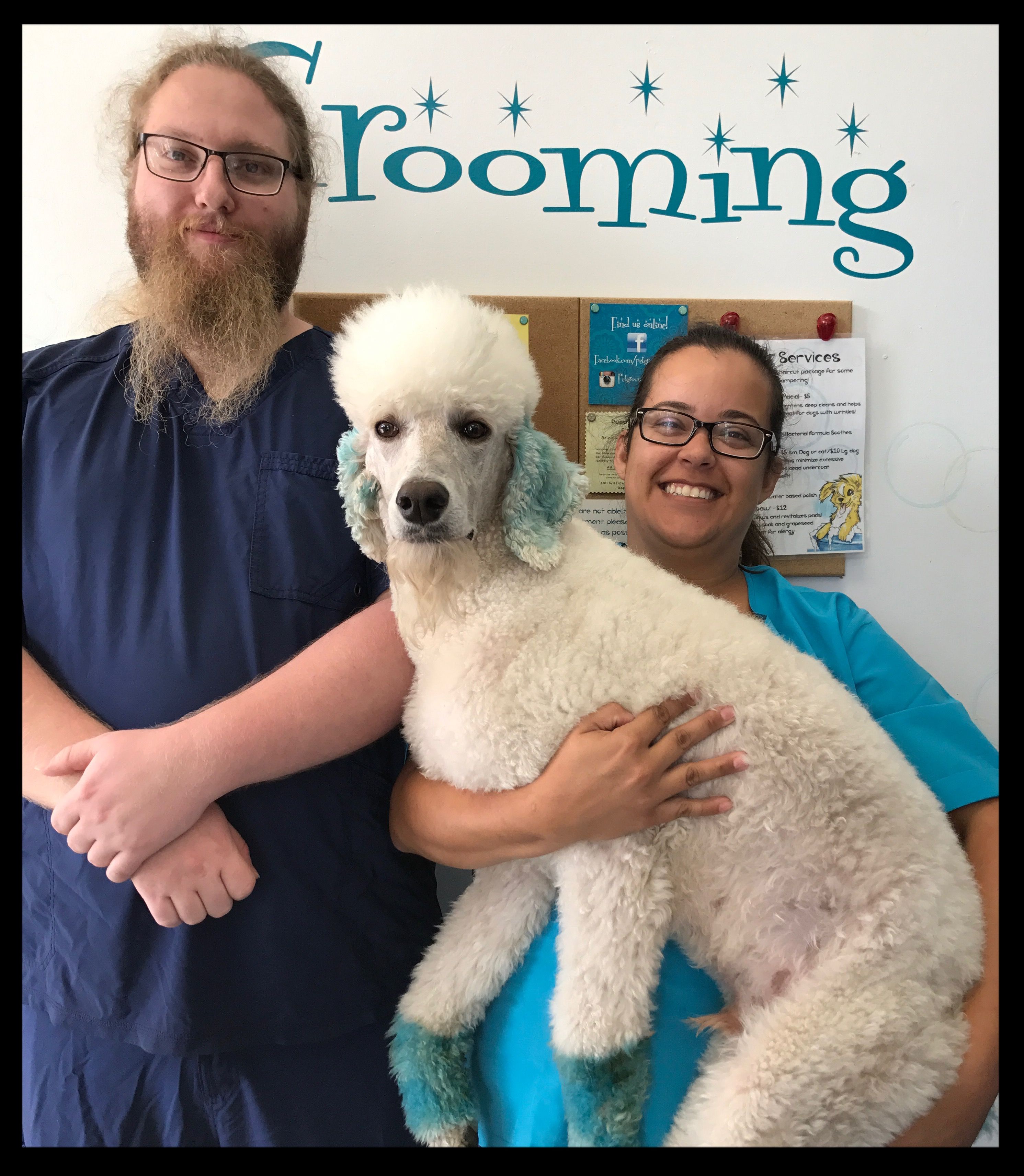 groomers at Amazon Animal Hospital