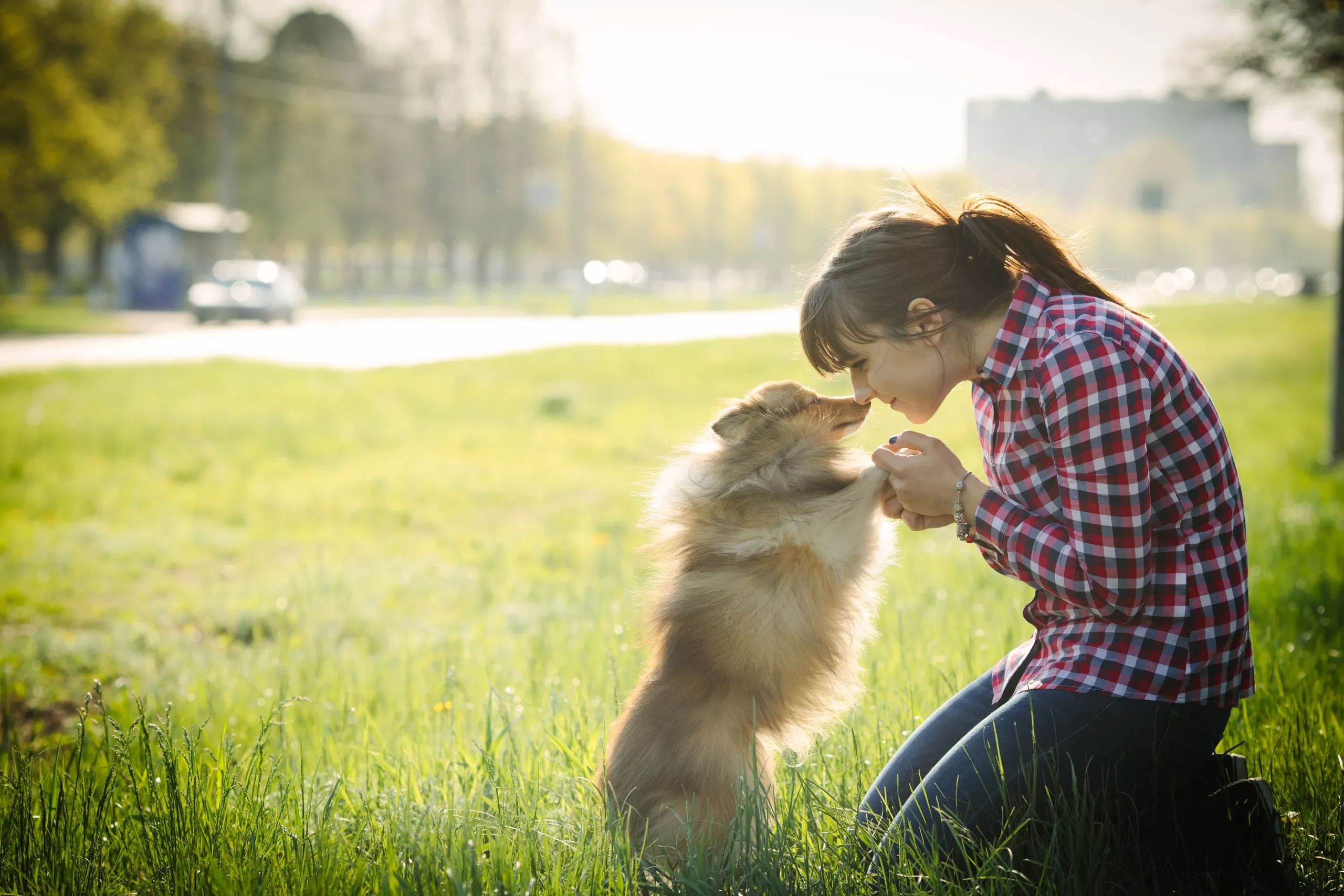 dog nose to nose with his human