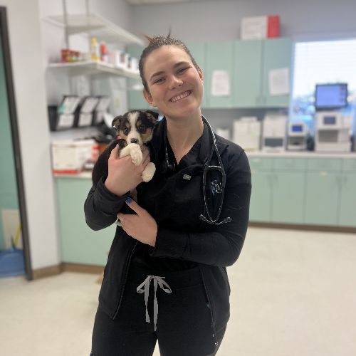 Lauren Parker Associate Veterinarian in Pearland TX