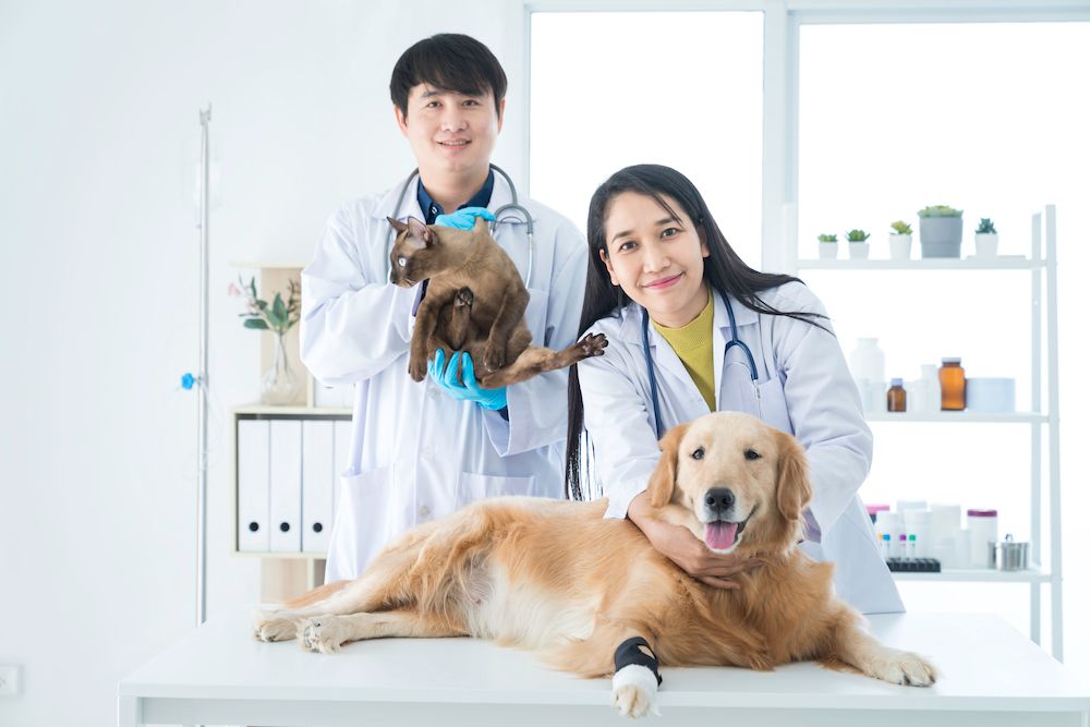 Frequently Asked Questions about Pet Wellness Exams