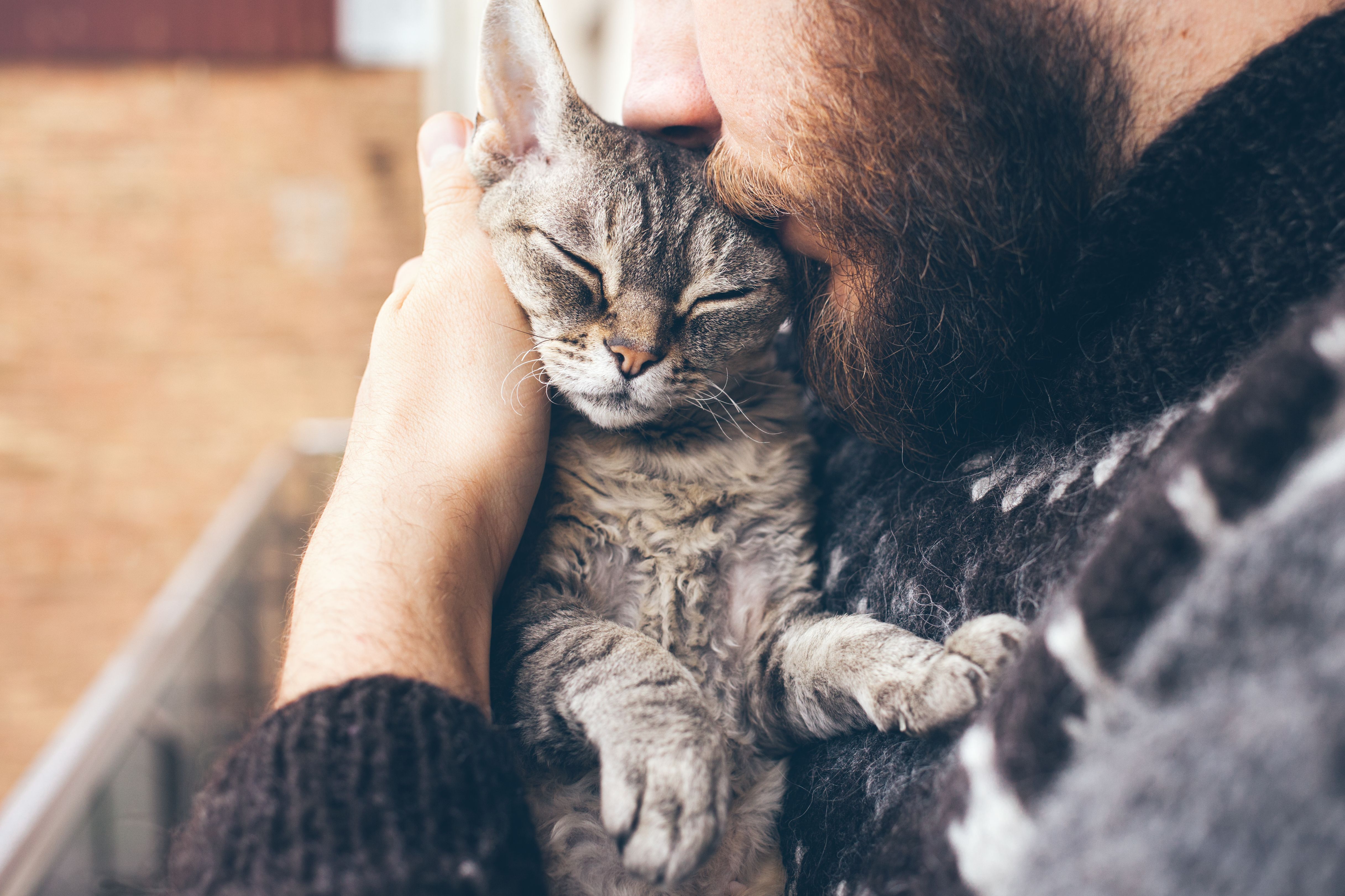Protect Your Pets from Rodenticide Poisoning
