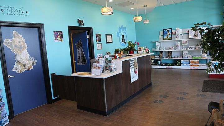 vet clinic of noble west animal hospital