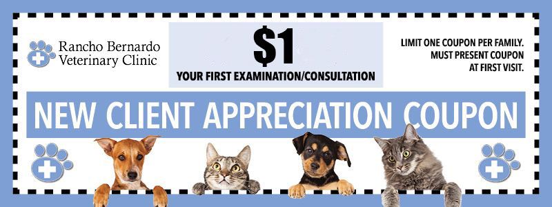 $1 First Time Client Exams