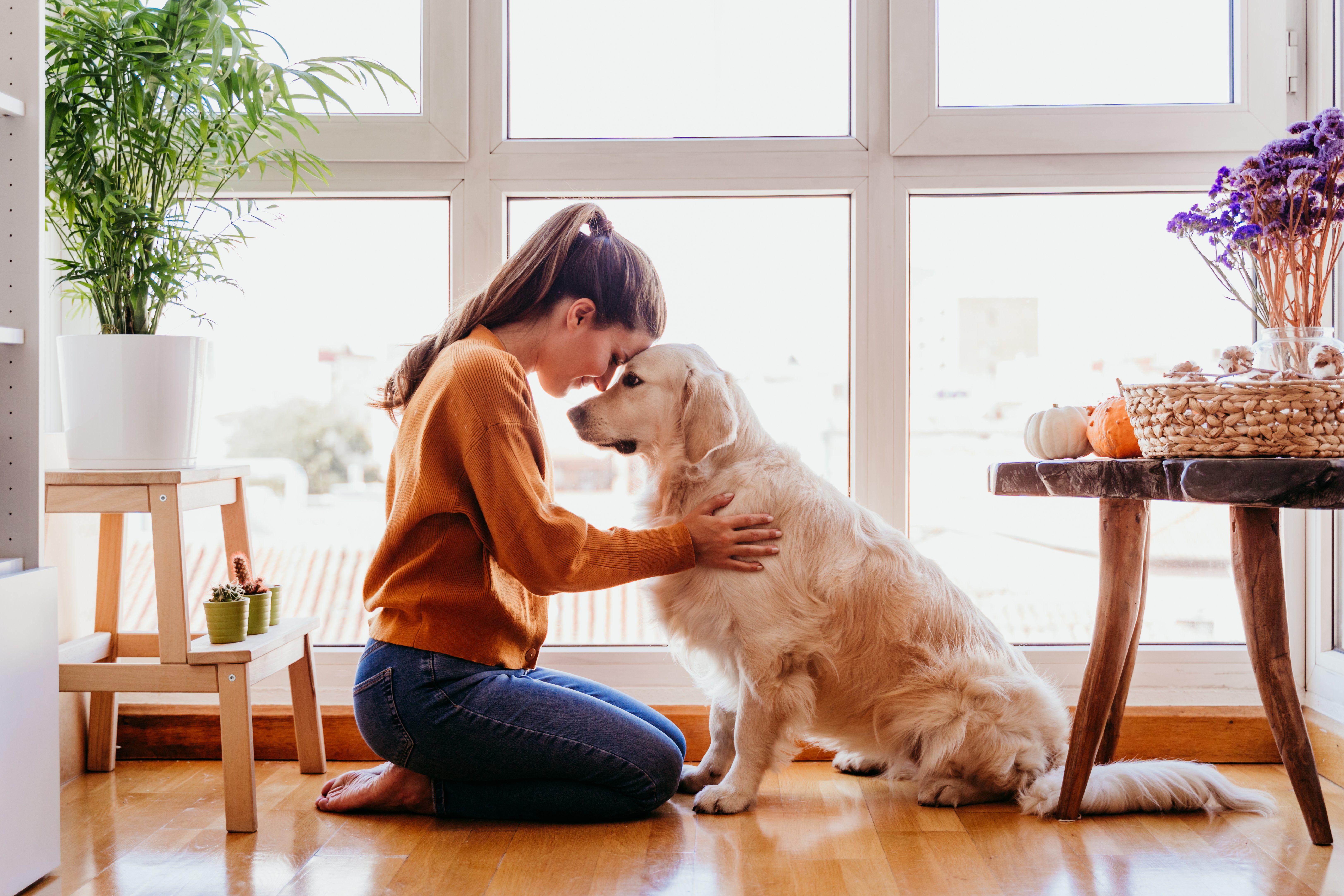 The Most Important Things to Do as a New Pet Owner in Palo Alto