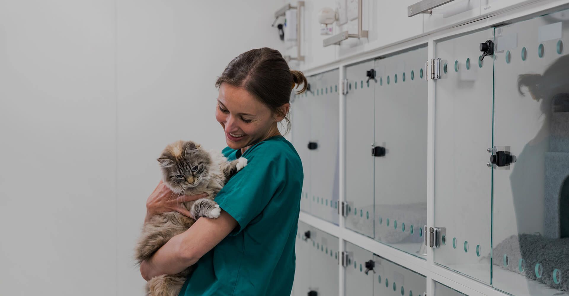 Las Vegas NV Veterinarians | Spencer Springs Animal Hospital