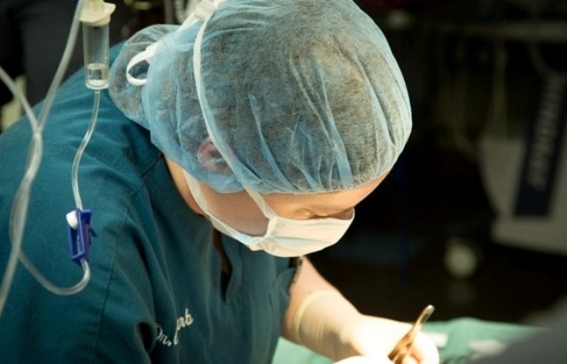 pet surgeon