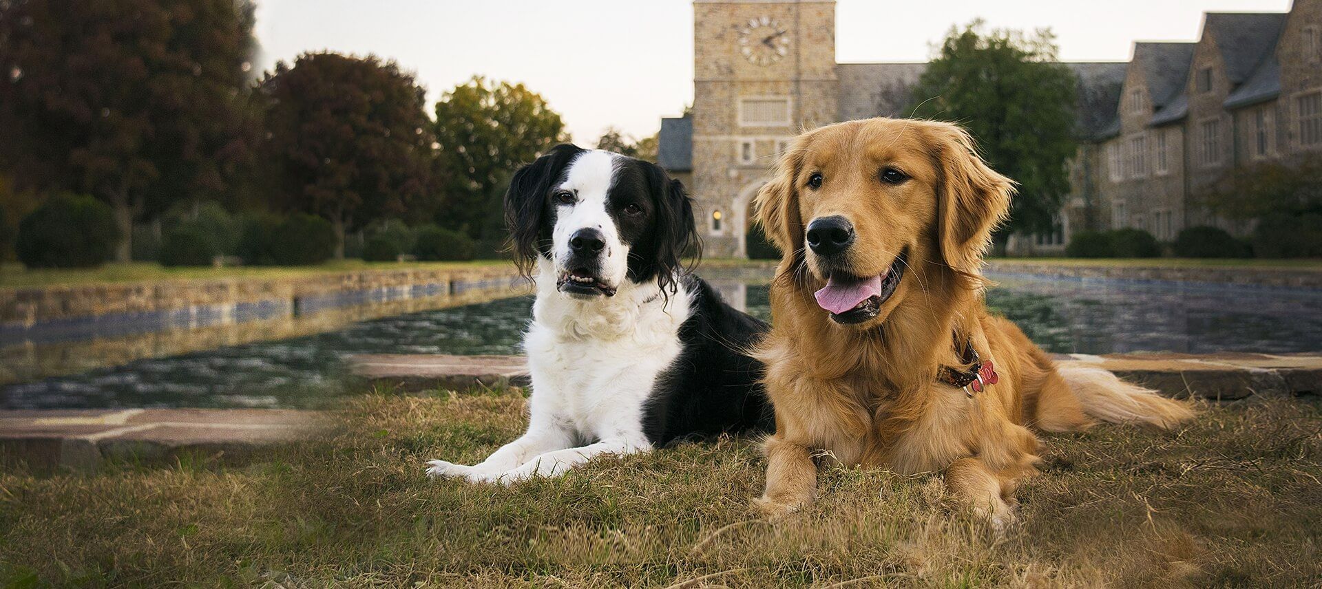 West Rome Animal Clinic Veterinarians in Rome, GA