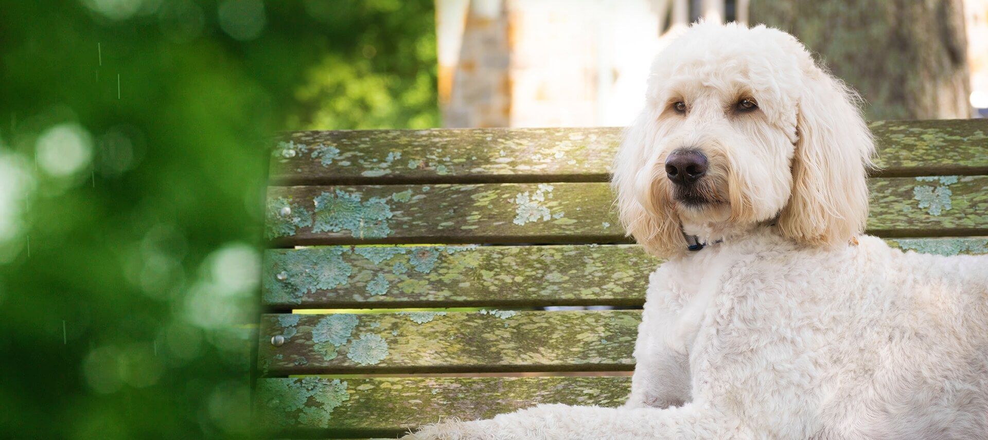 West Rome Animal Clinic Veterinarians in Rome, GA