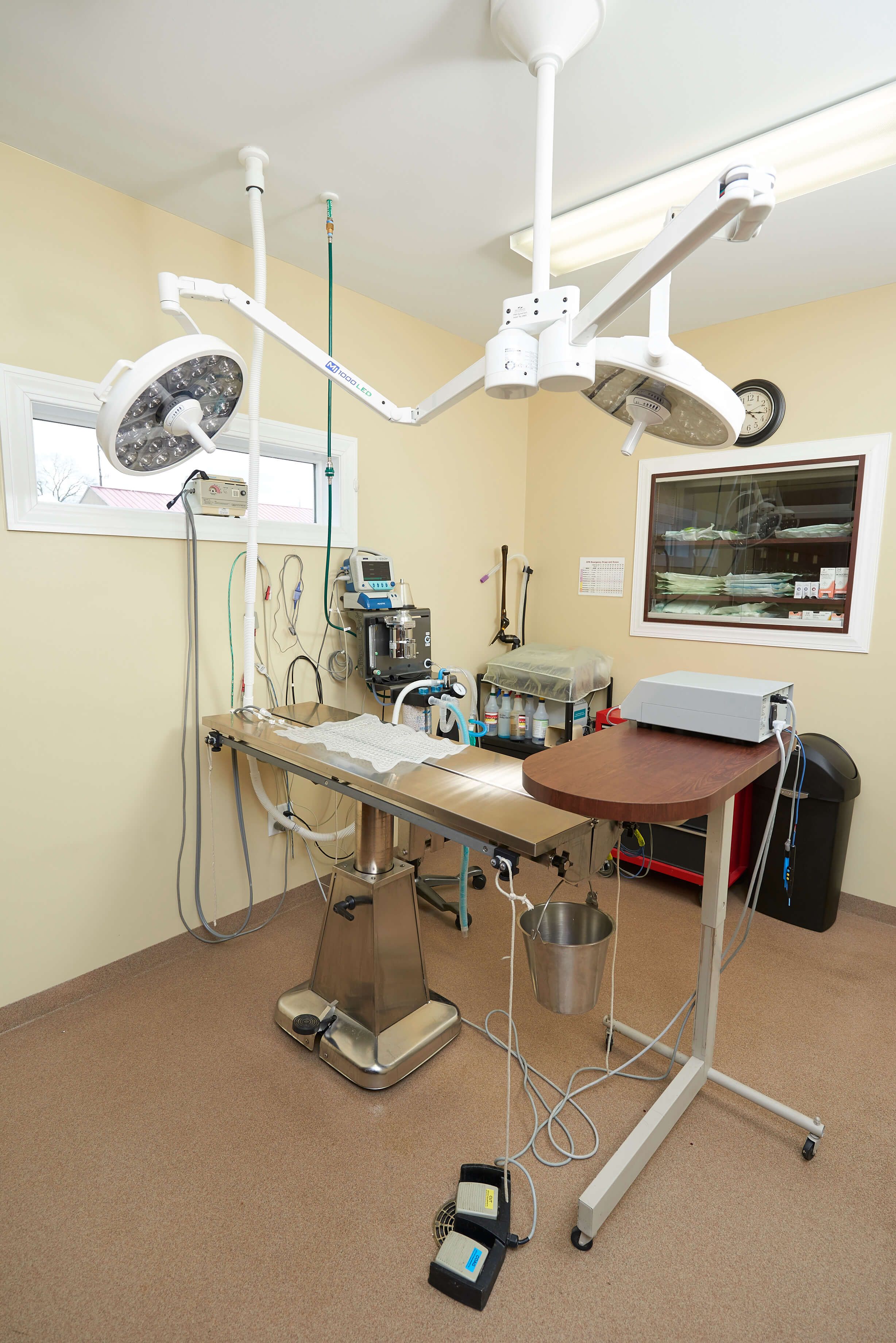 Pet Laboratory Rome, GA Vets