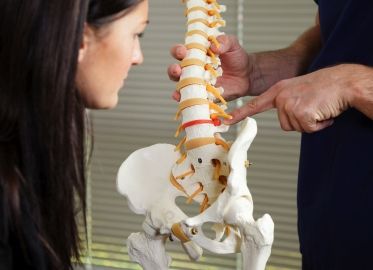 model spine