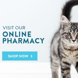 Online Pharmacy