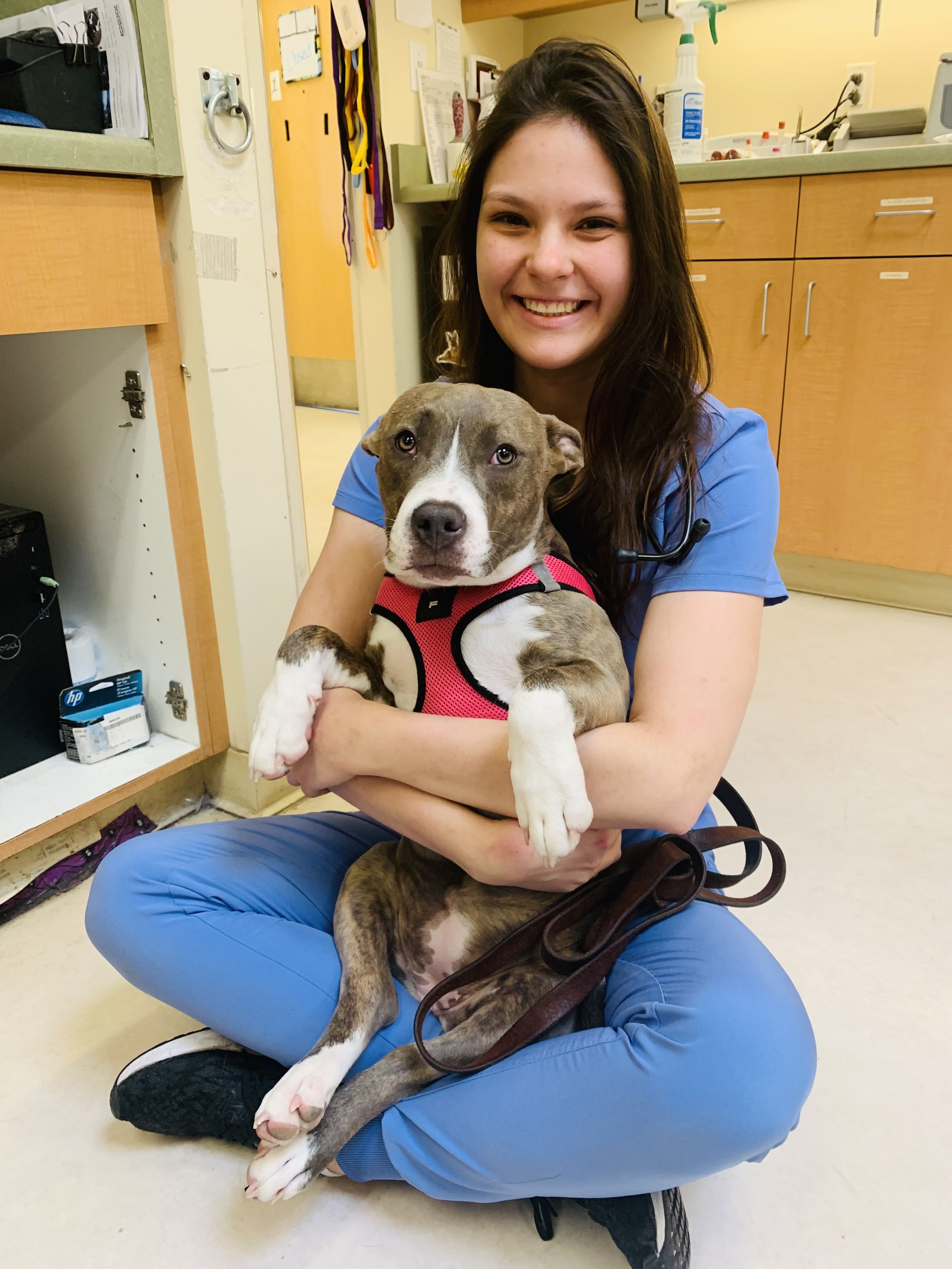 Meet Our Veterinarians in Santa Cruz, CA Animal Hospital of Soquel