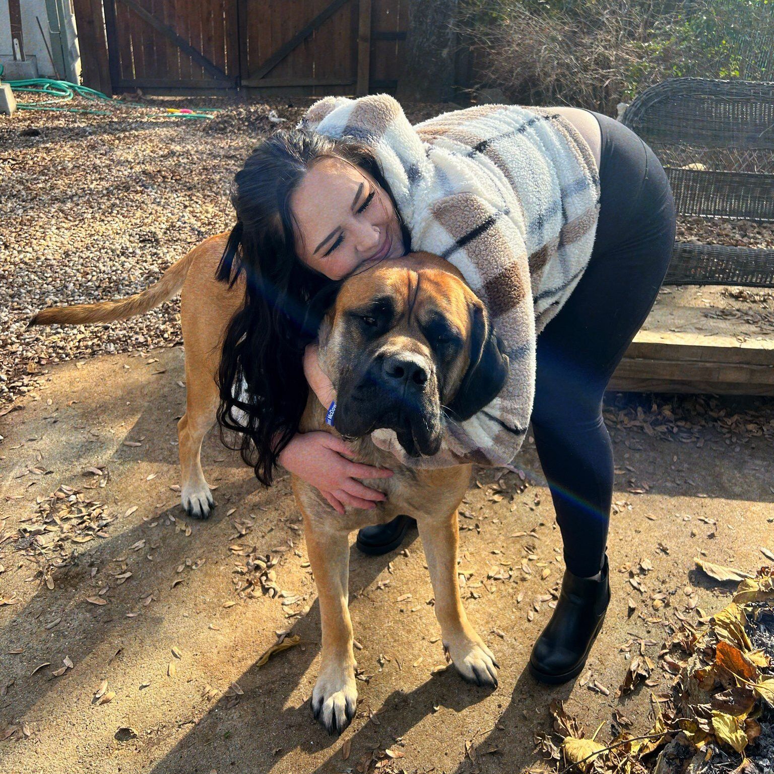 Meet Our Veterinarians in Santa Cruz, CA Animal Hospital of Soquel