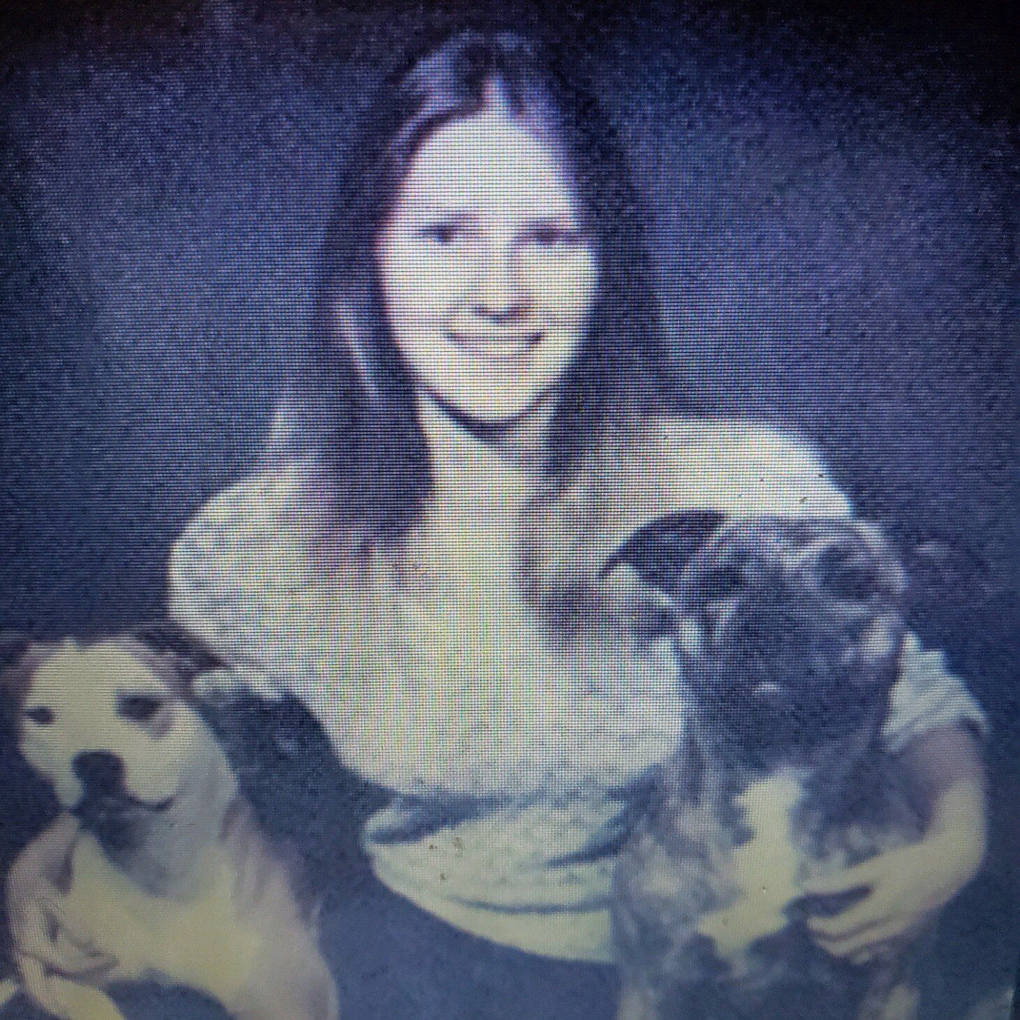 Meet Our Veterinarians in Santa Cruz, CA Animal Hospital of Soquel