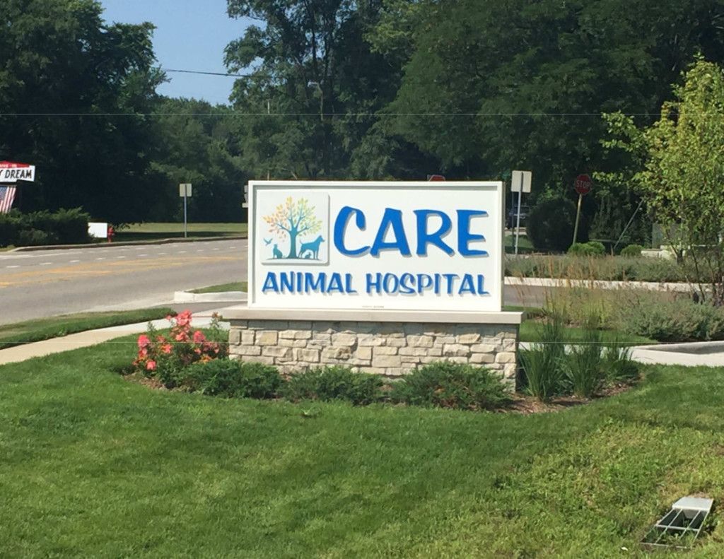 care animal hospital