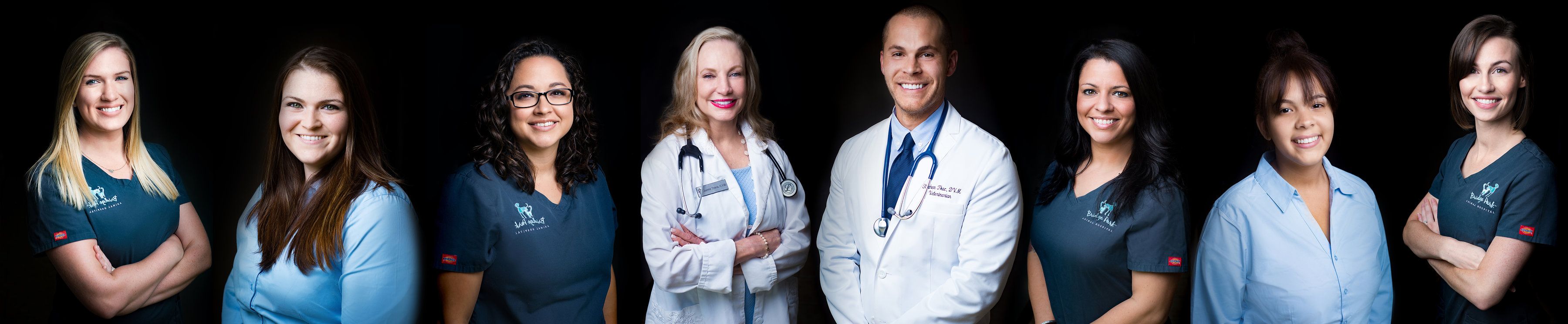 bridge park animal hospital team