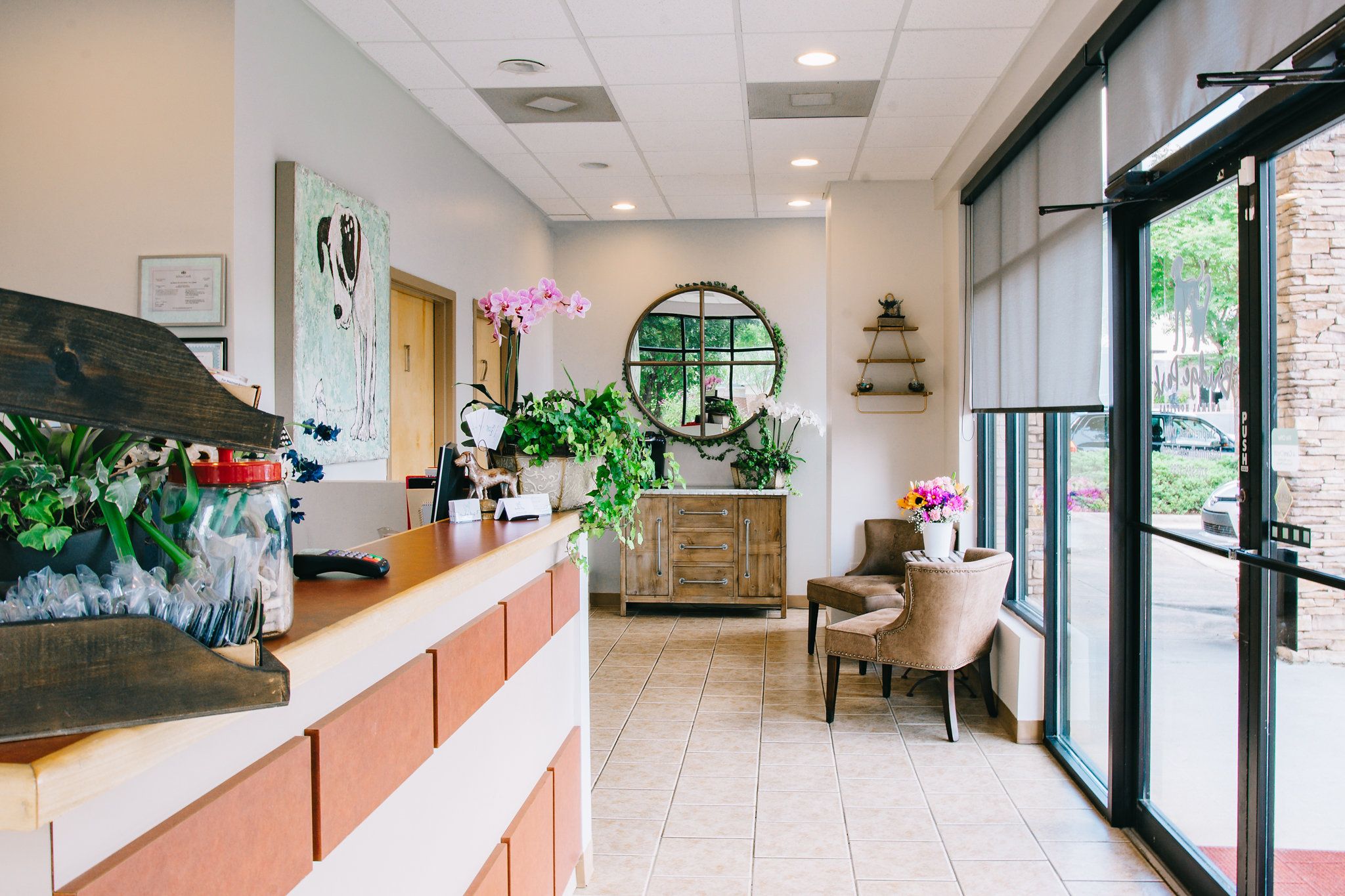 Top Veterinarian in Johns Creek, GA Animal Hospital