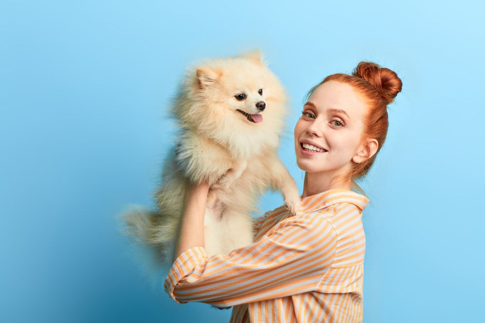laser therapy for pets